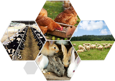 精益求精的品質 產品更優良、更安全衛生、更環保